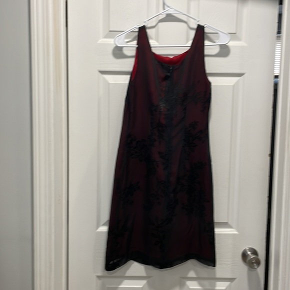 Express Dress - Picture 2 of 3